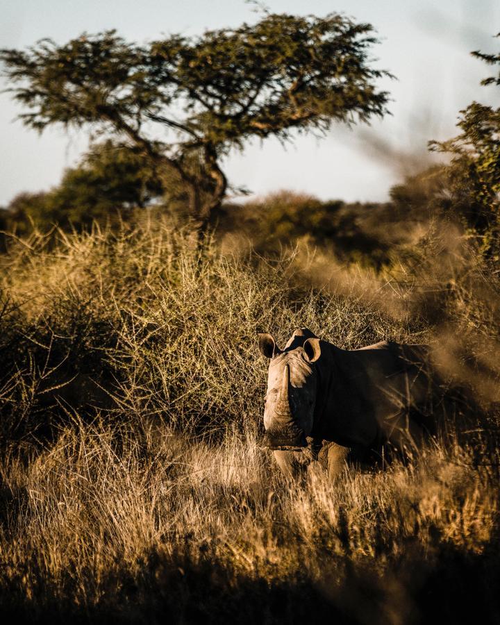 Vila Zannier Omaanda Ondekaremba Exteriér fotografie